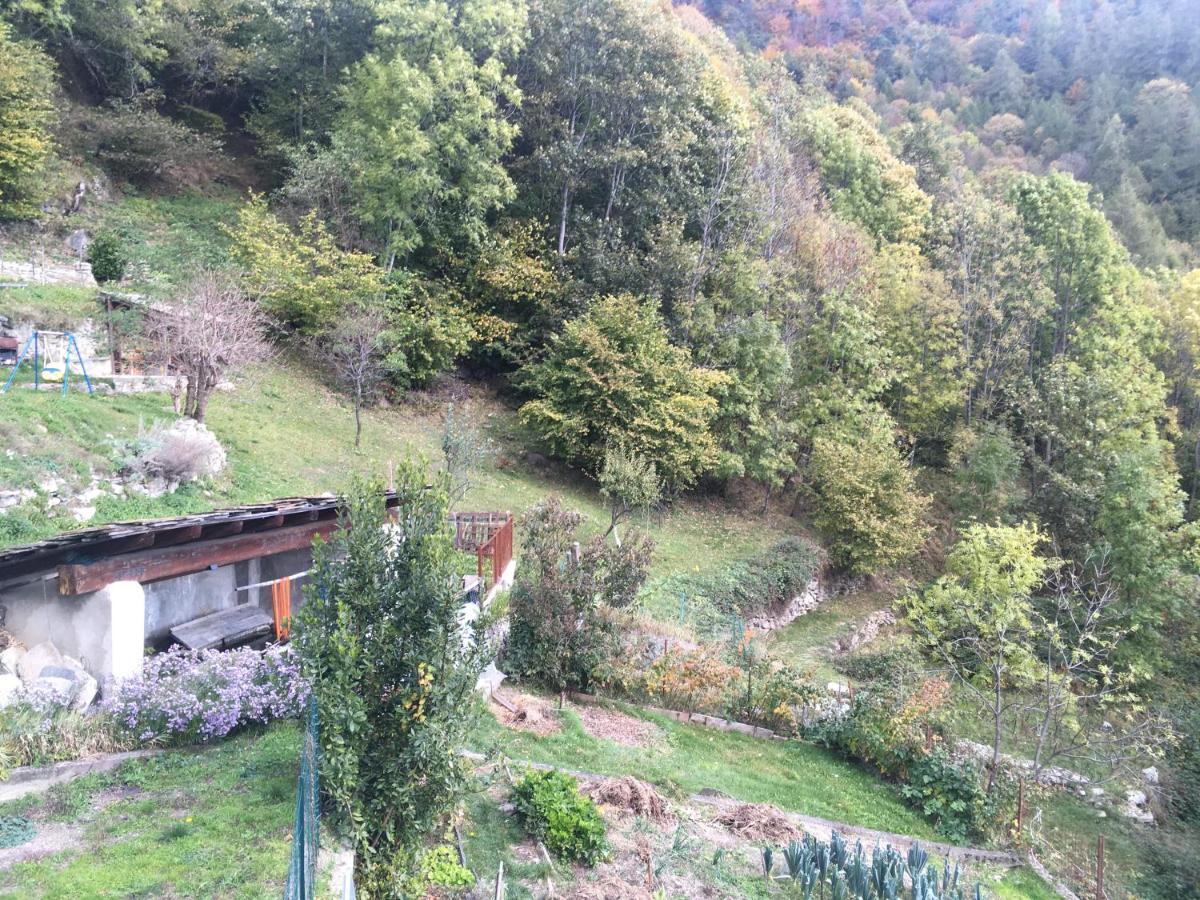 הוילה Roure Turin Casa Miki מראה חיצוני תמונה